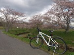 130407-hp1.jpg